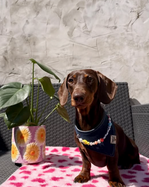Bandana en jean upcyclé à personnaliser - JEAN FONCÉ